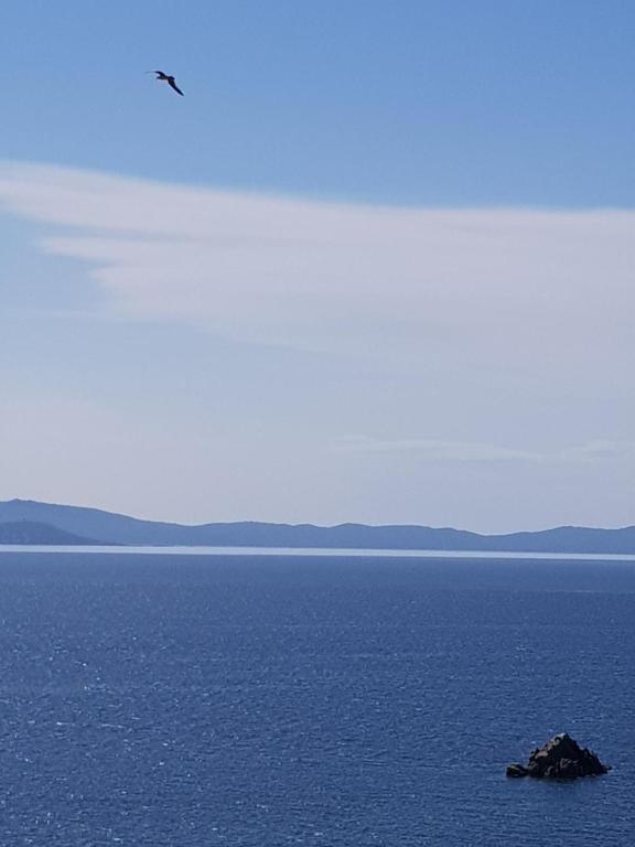 Ajaccio VUE MER IMPRENABLE 4a5 Pers - 2