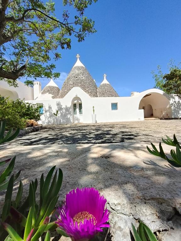 Trullollero UnPostoNelMondo Trullo Romantico con Giardino Privato Relax e Privacy - 4