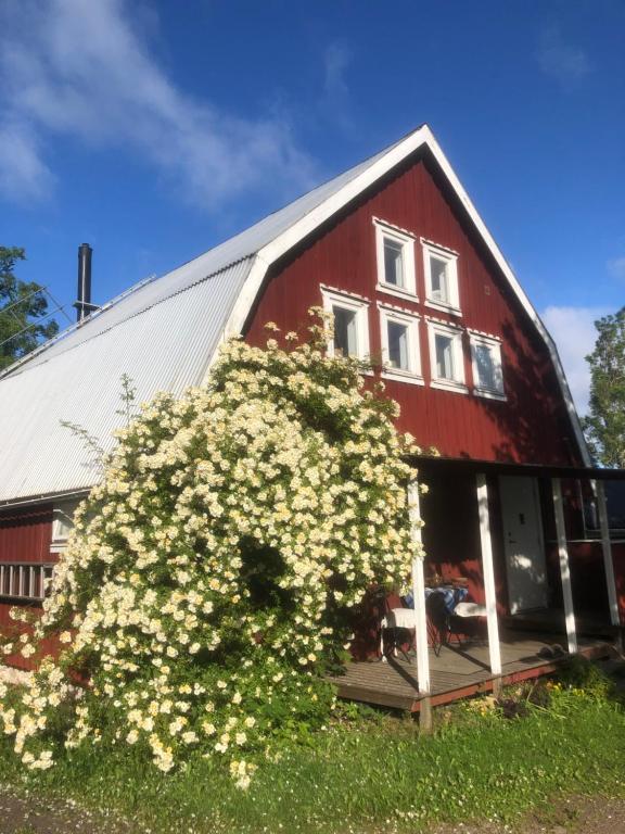 Close to nature in cozy old mill, Timmersdala