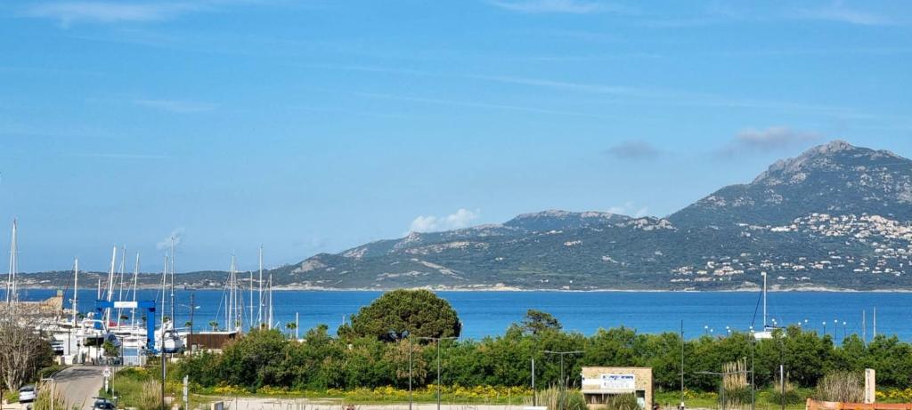 Sea view, balcony, private parking - 5