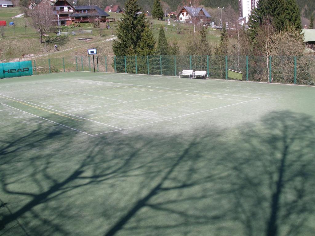 Tennis court