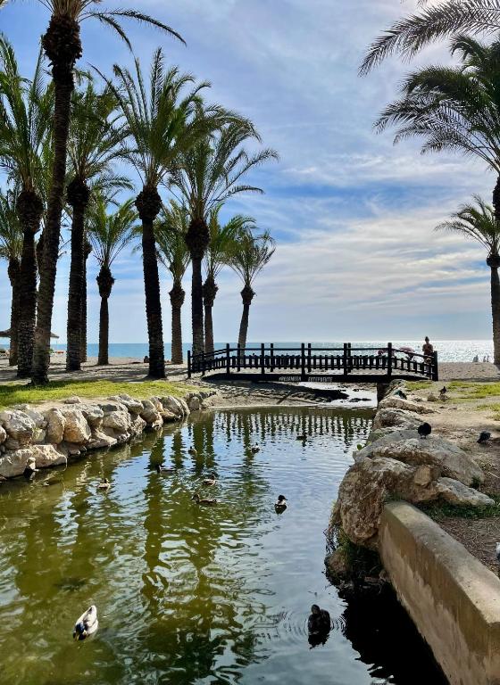 Sunstay Loft Seaview Benalmadena - 4