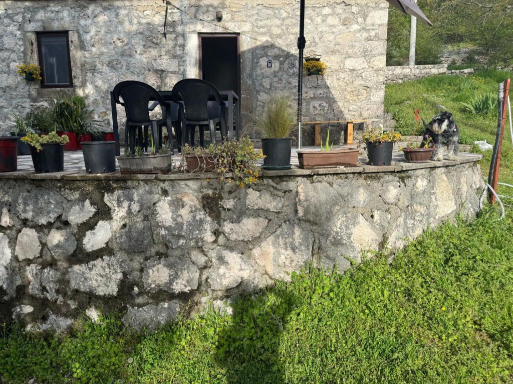 Nature Escape Montenegro - 5