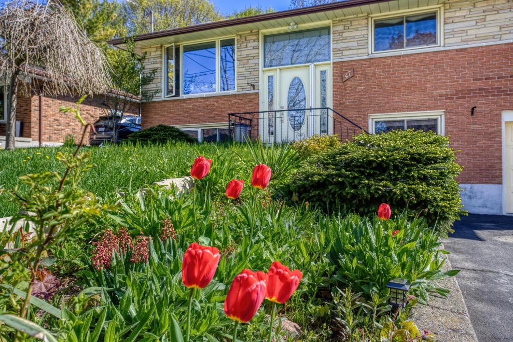 Bright & Modern 1 bedroom unit!, Guelph