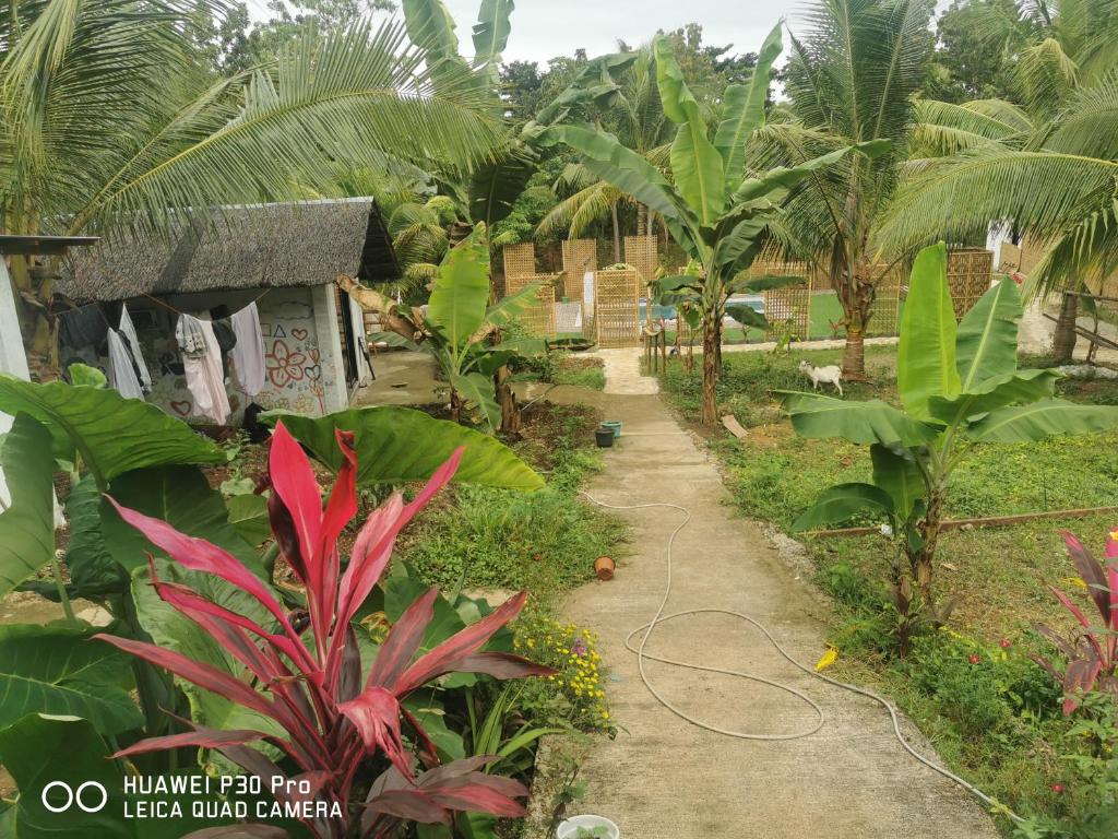 Jungle, San Francisco