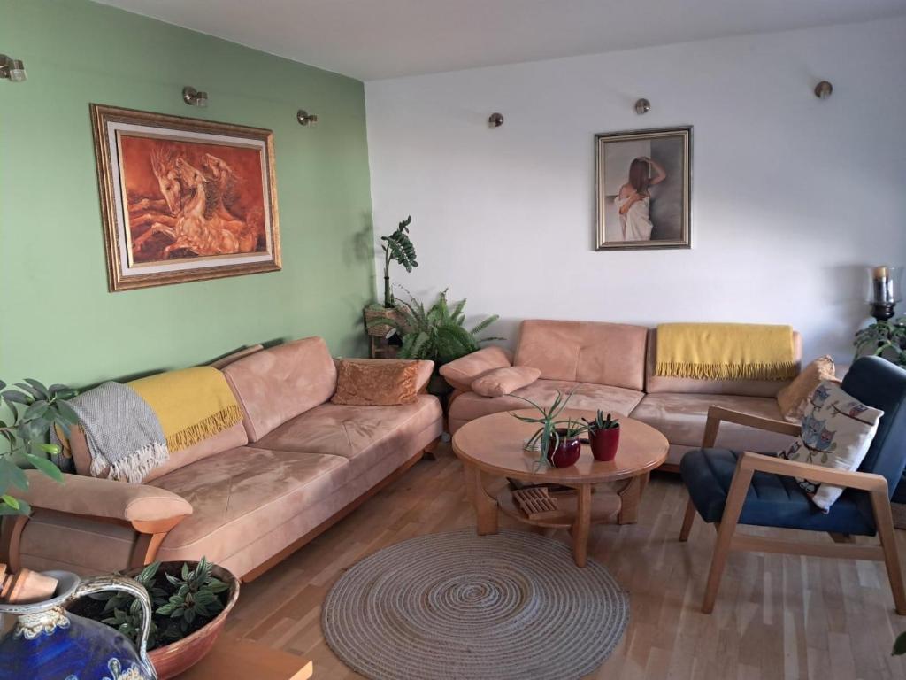 Avocado Apartment, Ochrid