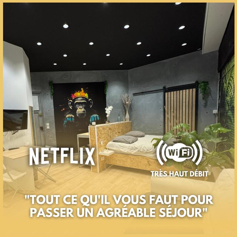 Studio Jungle with breakfast and video projector, Lyon