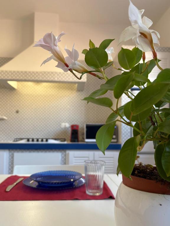 Nest - Family House - 5