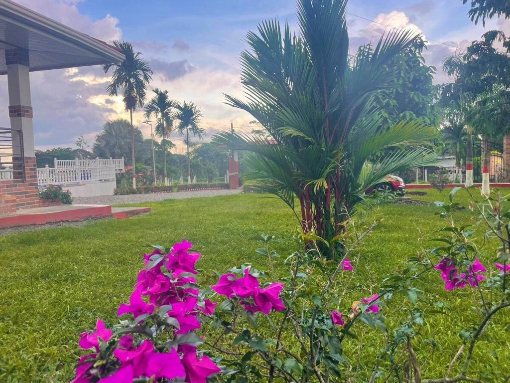 Villa Gladys con Piscina Privada y Vista Natural - 4