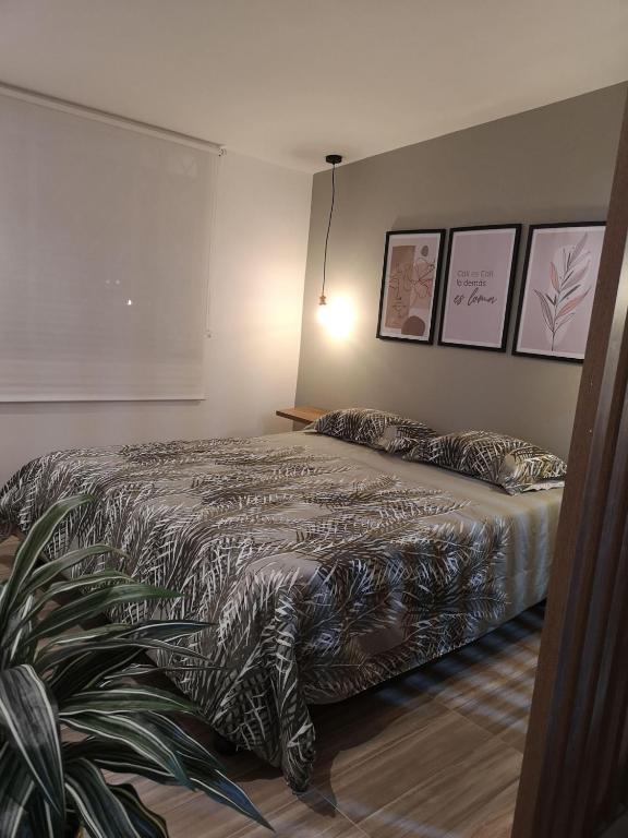 Apartaestudios tipo Loft Luxury - 2