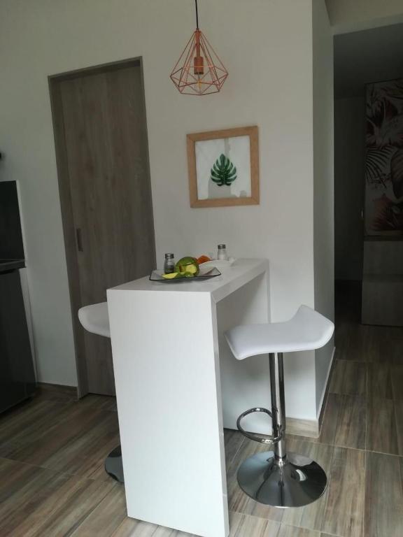 Apartaestudios tipo Loft Luxury - 3