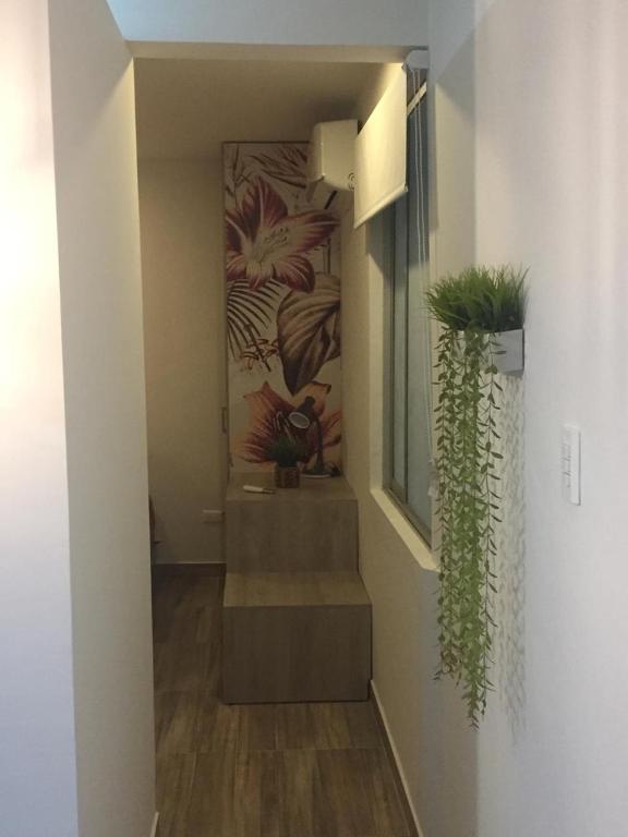 Apartaestudios tipo Loft Luxury - 5