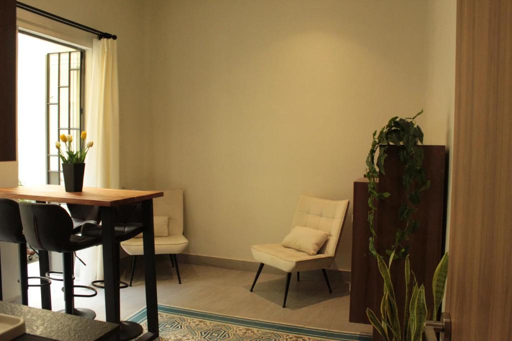 Apartamento completo planta baja Colonia Moderna - 3