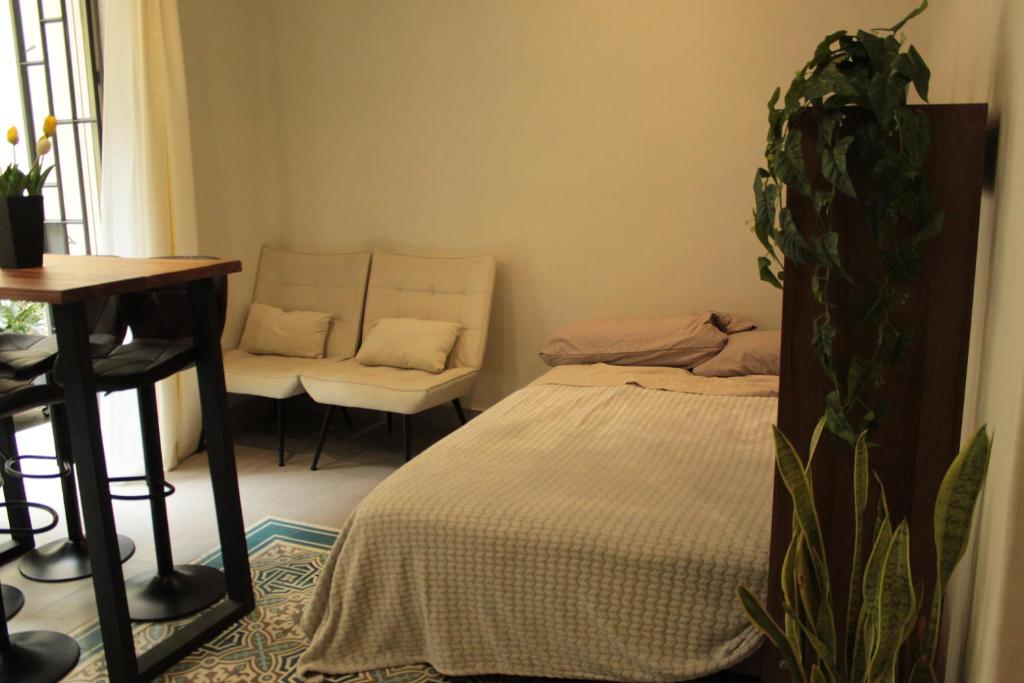 Apartamento completo planta baja Colonia Moderna - 5