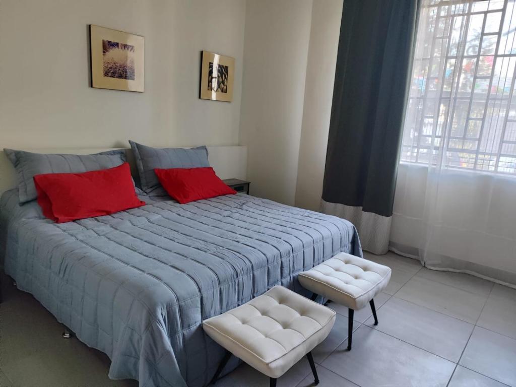 Apartamento completo planta baja Colonia Moderna - 2