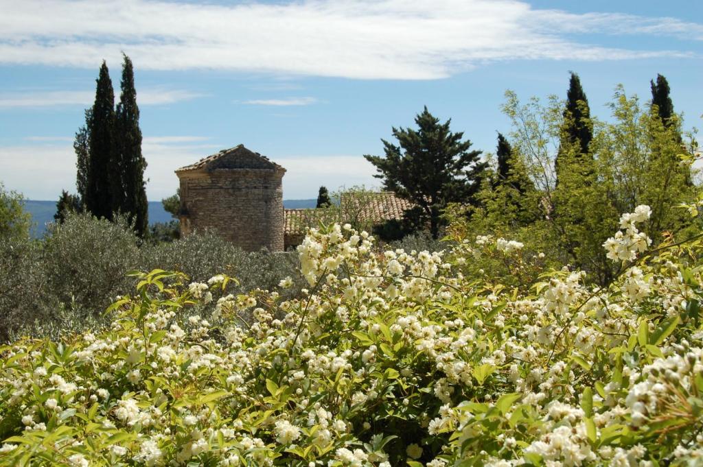 Mas de la Beaume - 4