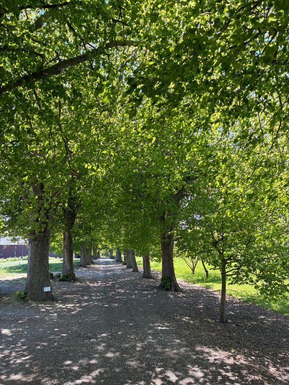 Surrounding environment