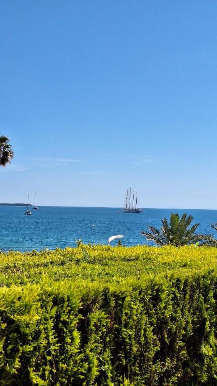Appartement design 1ère ligne avec vue panoramique sur la mer - 5