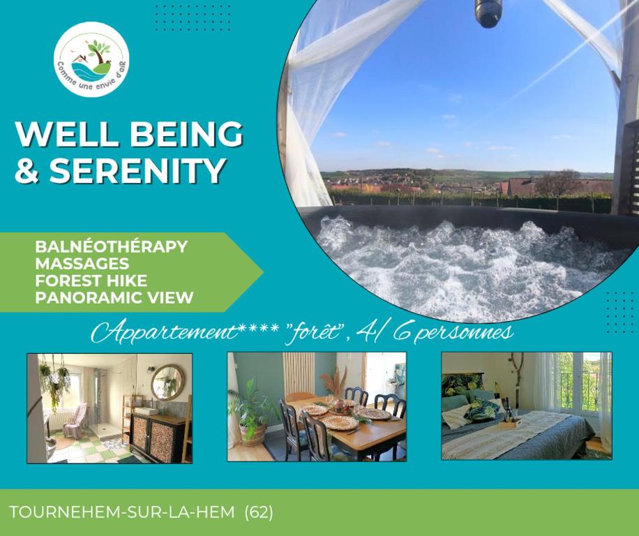 Comme une Envie d'air FORET, Guémy