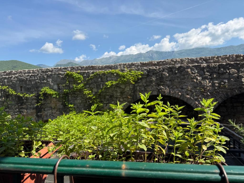 Apartments Aleksić Old Town - 3