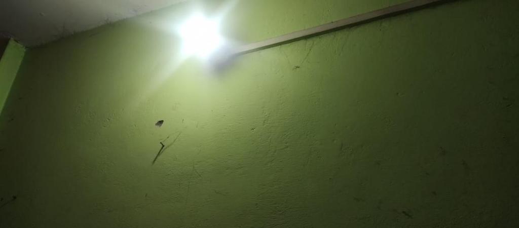 maha dev guest, Jāmb