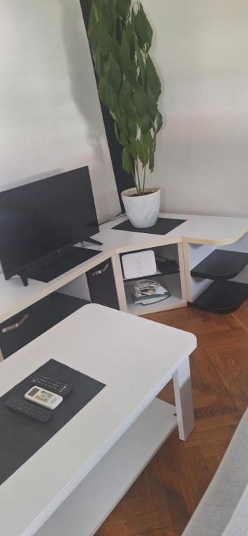 Apartman Budva - 5