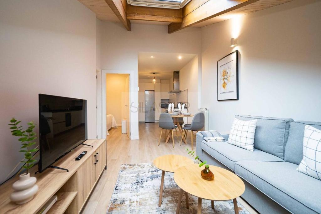 Cámara By Silastur, Avilés