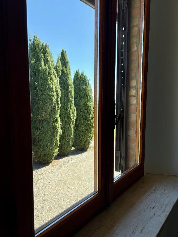 Casalchino-Fattoria La Torre - 2