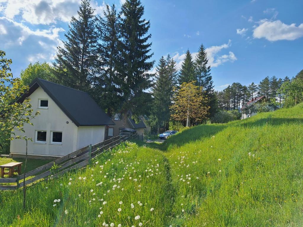 Braun Apartments - 4