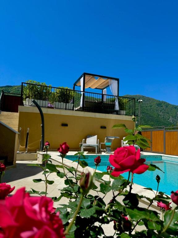 Apartments Jovanovic - Alkima - 5