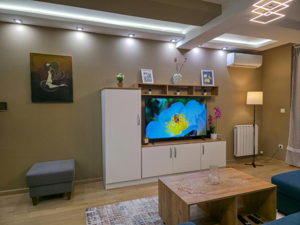 Aura Apartment Vračar Central - Belgrade - 5