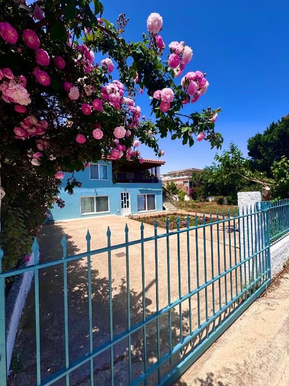 Charmy Blue, Artemida