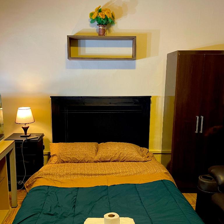 habitación relax, hermosos peces y plantas - 3