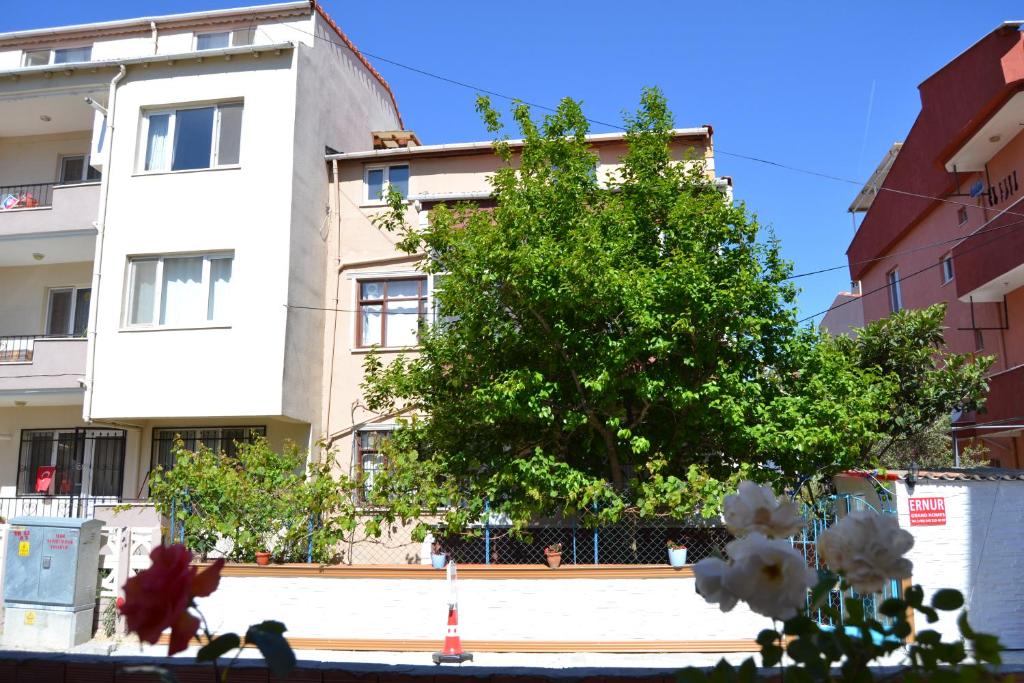 Ernur Pension photo