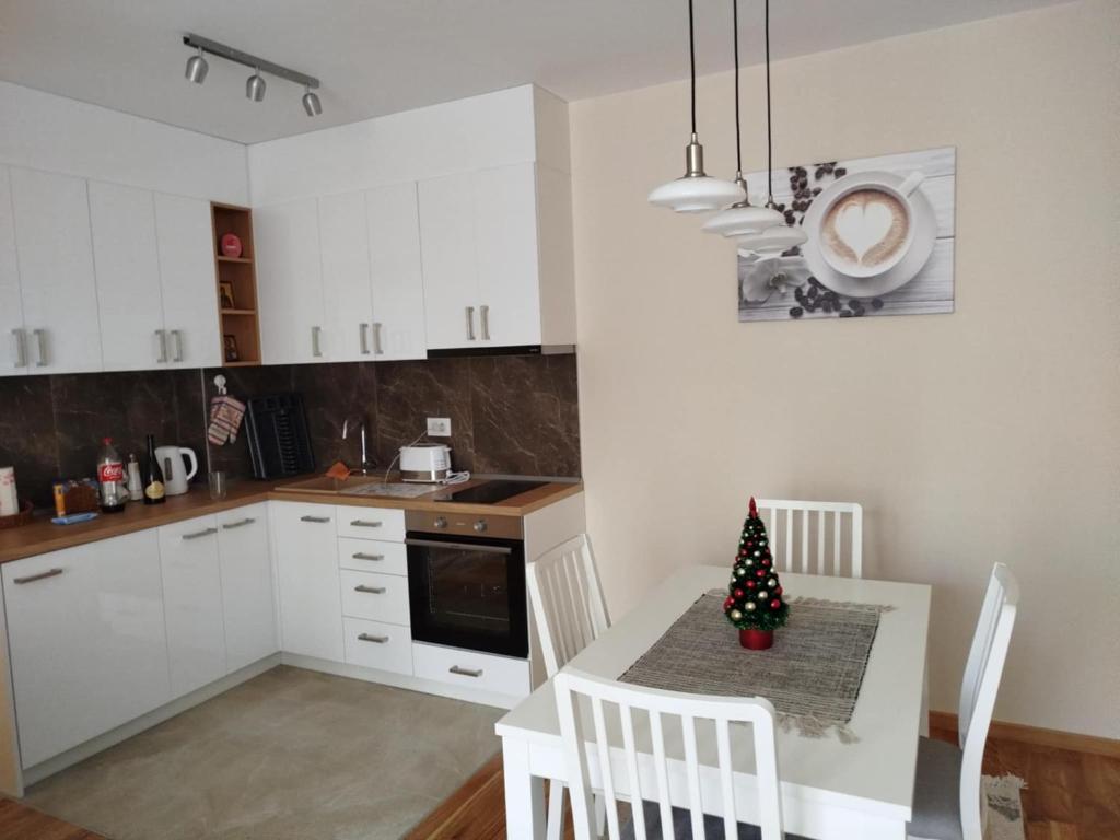 Apartman Đorđević Zlatibor Vila Elsa 4 - 4