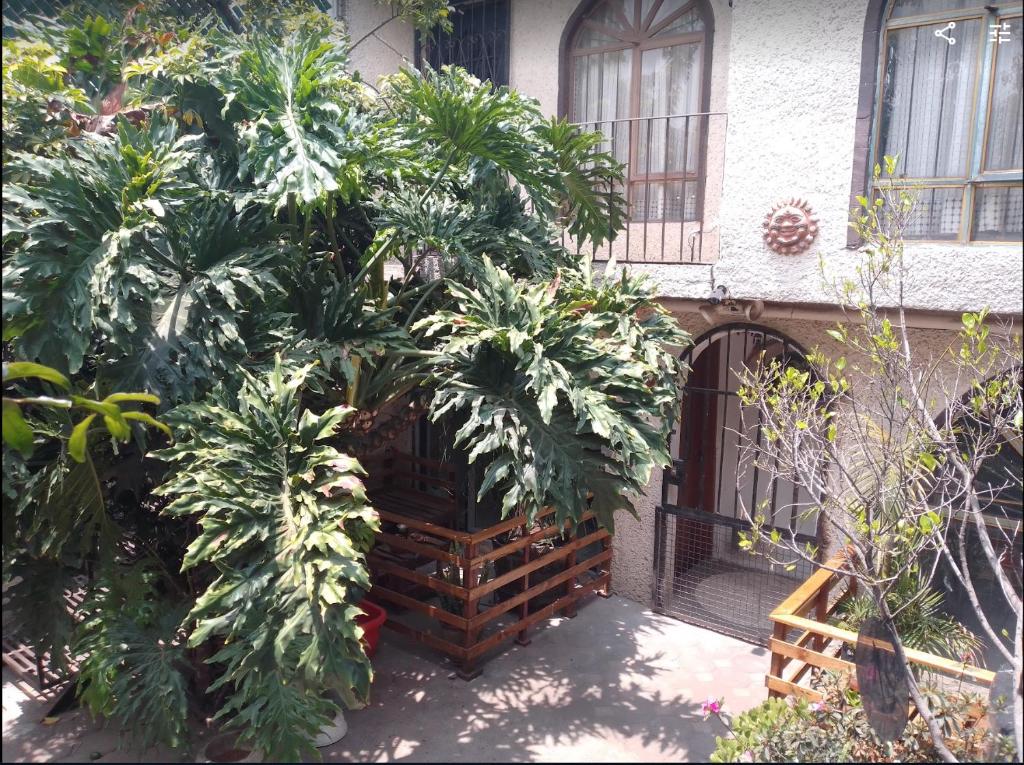 Casa en Xochimilco para 5 personas ideal para el Mundial 2026 - 5