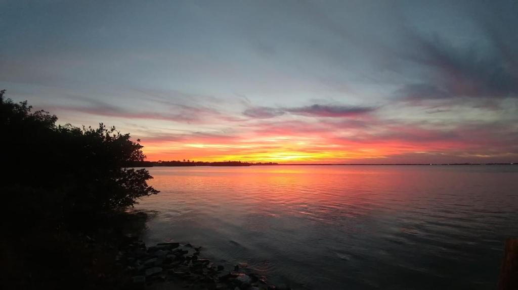 Patio Unit! Southern Exposure!, Mys Canaveral