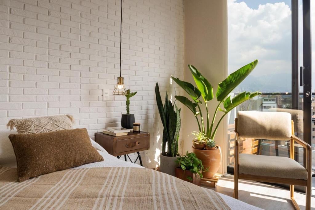 Cozy, Bright & Organic Apt in tradicional Laureles - 1