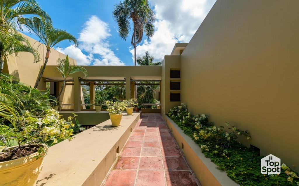 Amazing TopSpot in Mesa de Yeguas! - 4