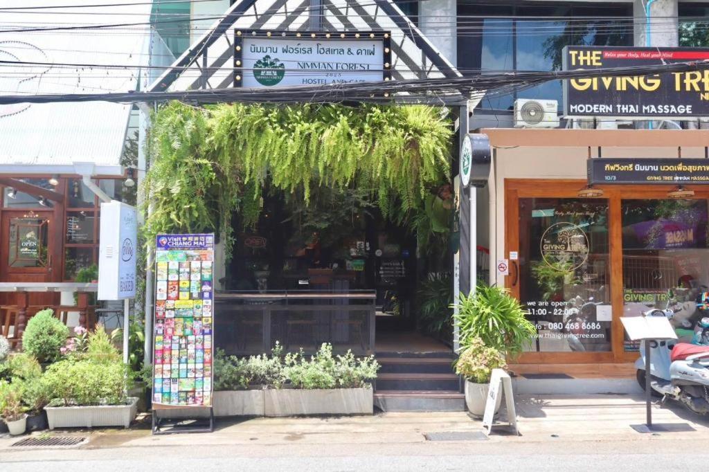 Nimman Forest Hostel, Čiang Mai