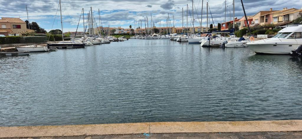 Studio 4 pers, vue mer, parking, wifi, ponton - 2