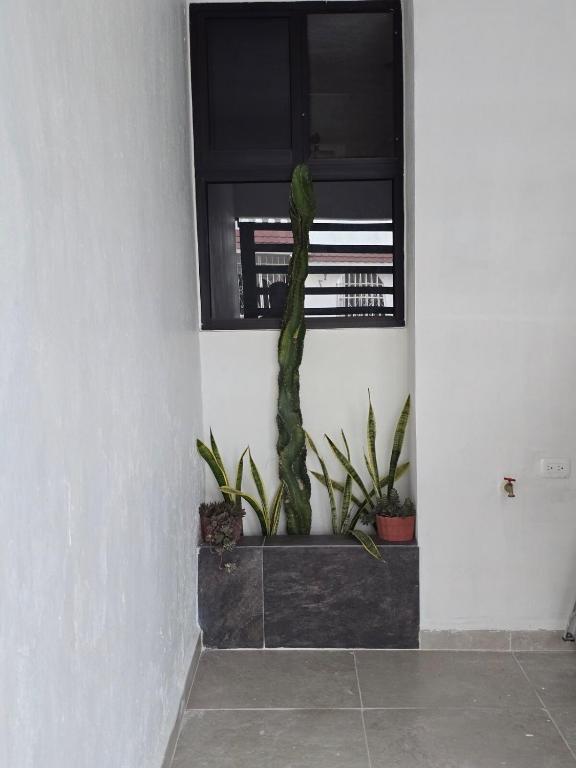 Casa el Nido, Cozumel - 2