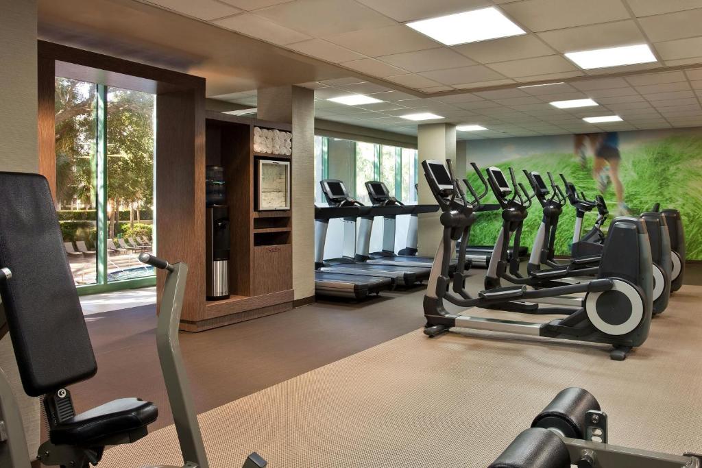 Palestra