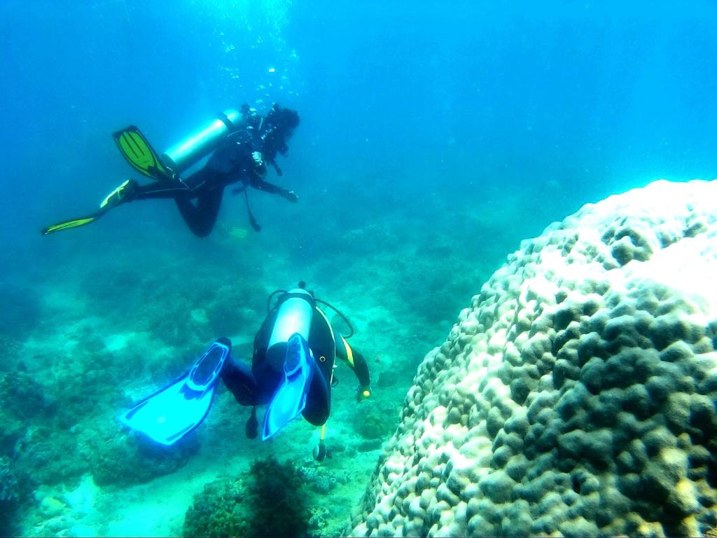 スポーツ/アクティビティ