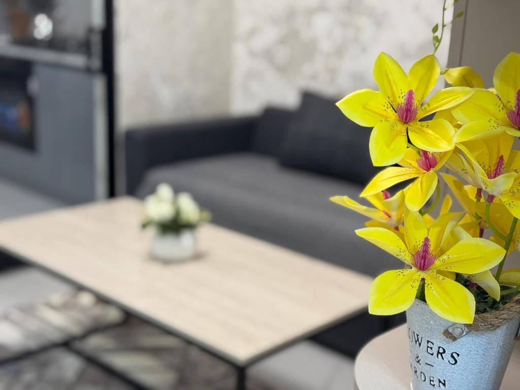 Modern Spaces 11, Taškent