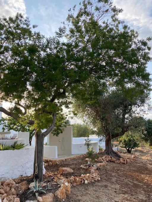 Casedda Mia a charming cottage with cozy private pool - 2