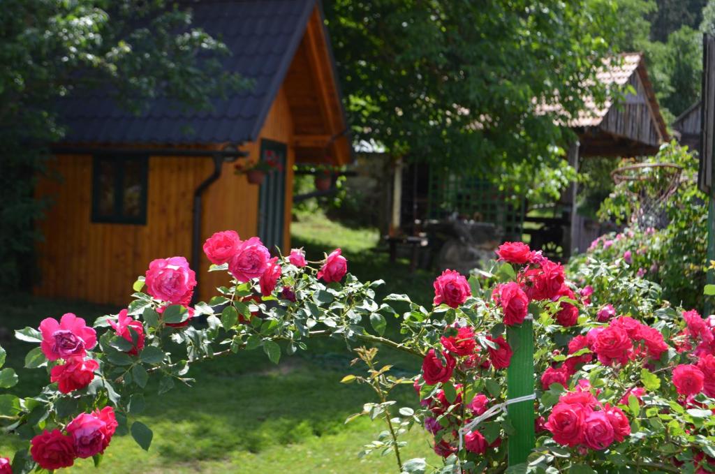 Ivona - Kuća za odmor Perušić - Stara Lika, Perušić