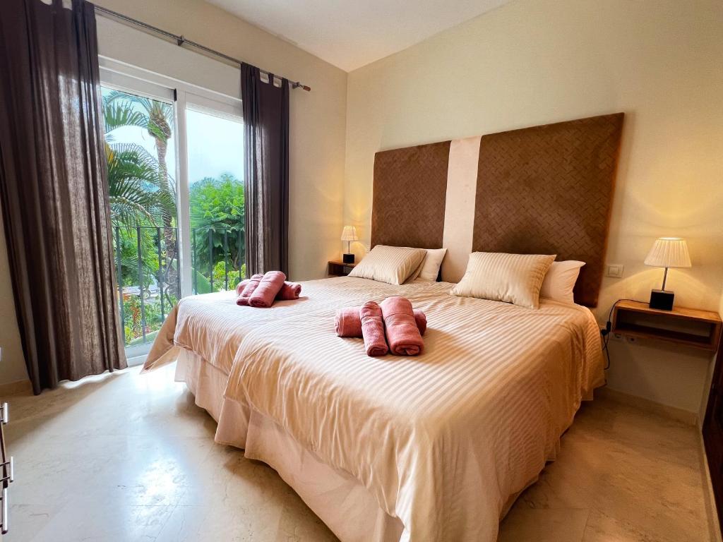 Costalita F - Beachside Apartment - 5