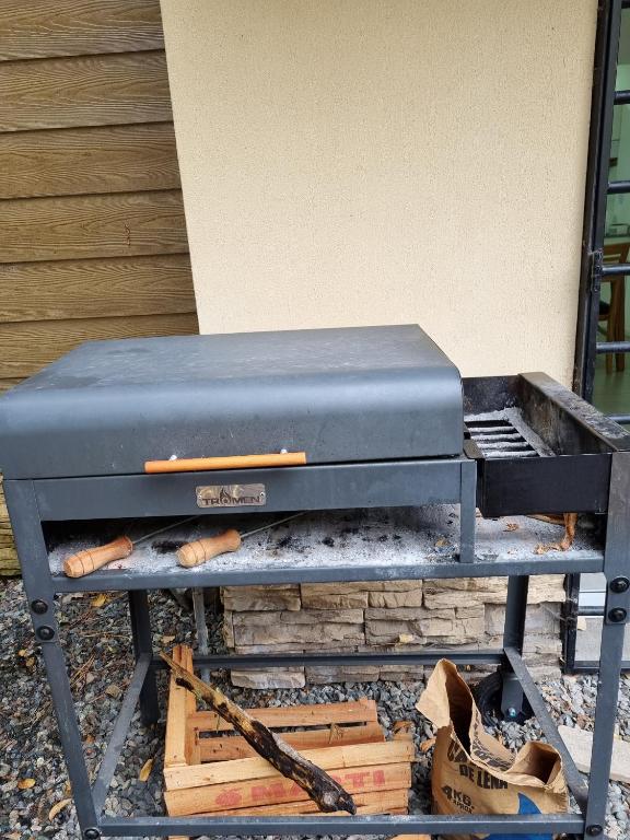 Las Araucarias - Andarlibre - 5