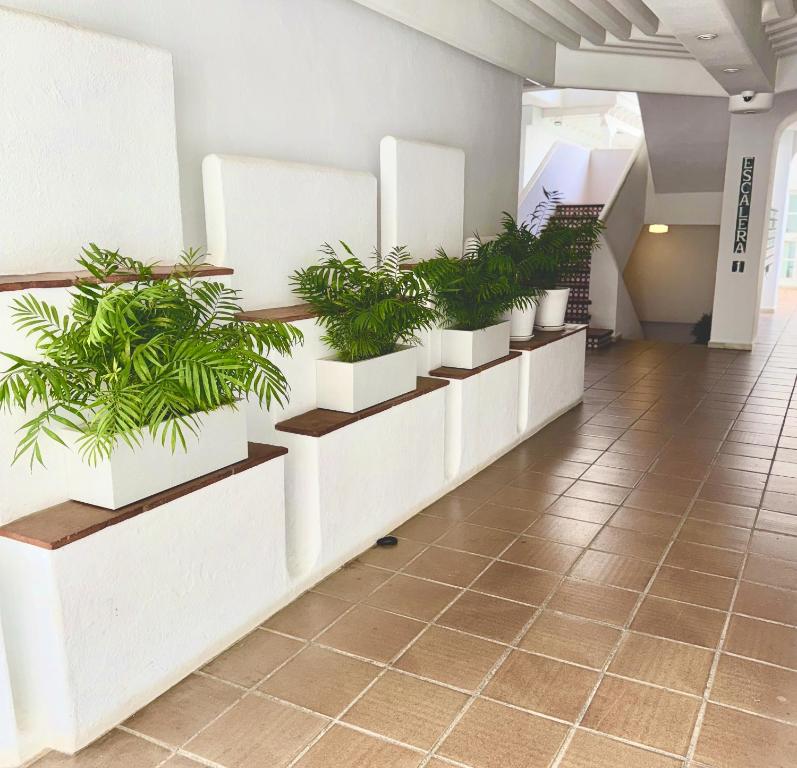 Amplio y luminoso apartamento en puerto banus - 3